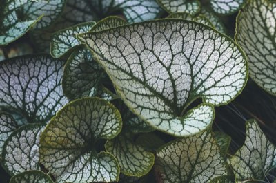 Fabricantes europeos: Cumplimiento ambiental es ahora obligatorio