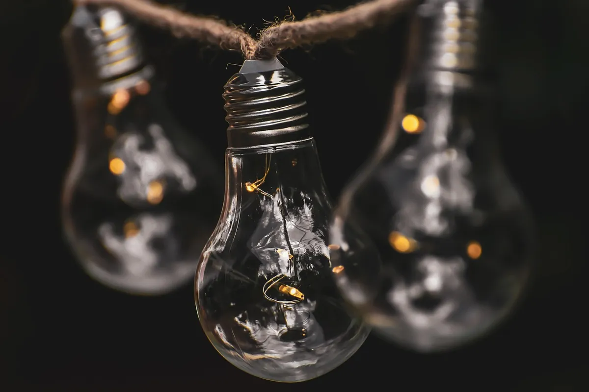 lightbulb, energy, nature, environment, ecology, light, environmental protection, throughts, natural reserve, think, close up, sustainability, electricity, inno